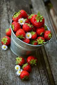 Bucket-of-Strawberries