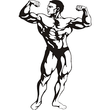 Picture-of-muscle-man